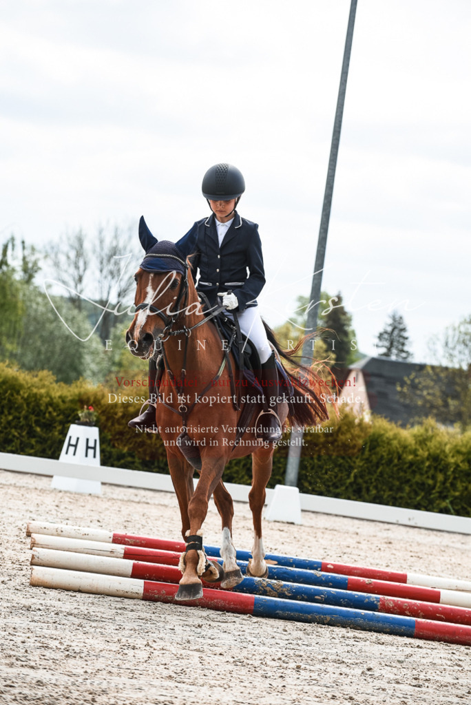 20230518_JK-Röhrsdorf-10-006 | Pferde- und Turnierfotografie in Westsachsen. Pferdeportraits, Auftragszeichnungen und intuitive Kunst.
