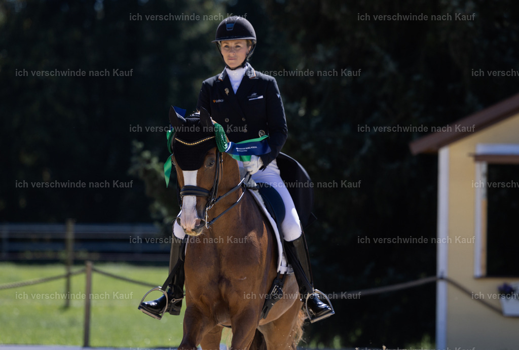 FHC2026_P12_Siegerehrung_19367 | working equitationturnier fotograf videograf stoibphotography marixx film working equitation deutschland reitsport turnierfotografie eventfotografie equestrian events