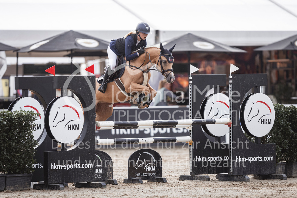 240906_BuCha_PonyA-5j-182 | Deine schönsten Turniermomente als professionelle Fotos! Entdecke hochwertige Pferdesport-Fotografie im Online-Shop. Jetzt Fotos finden & bestellen!