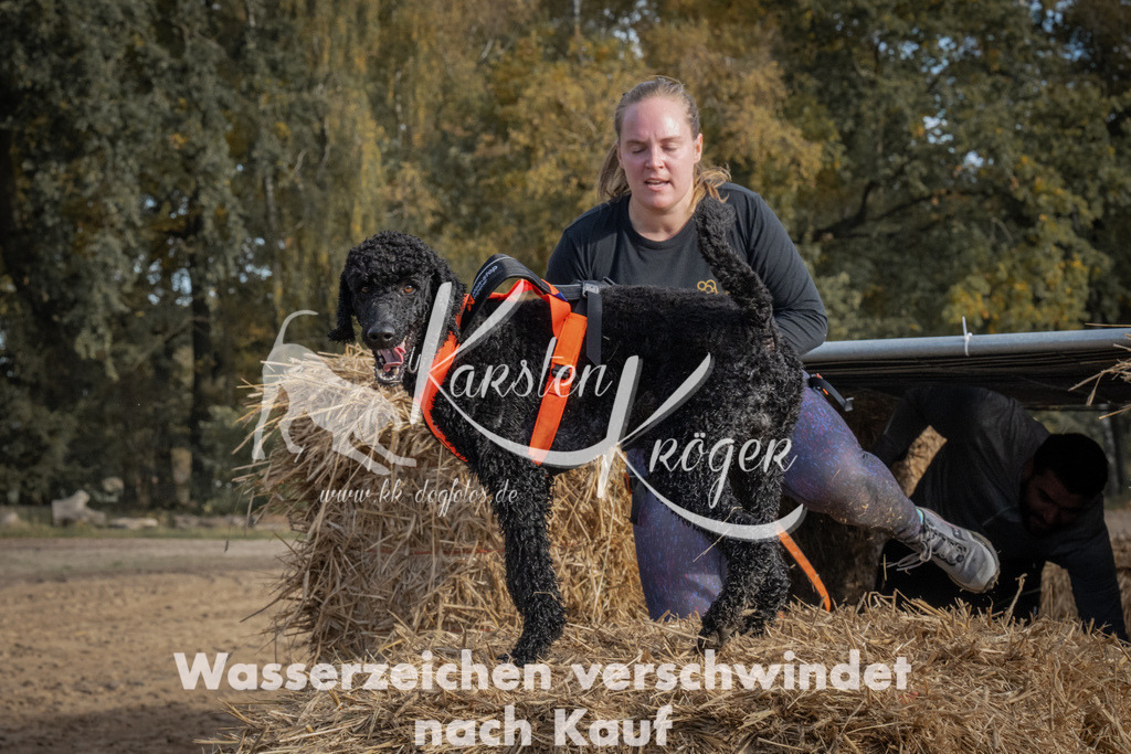 1043_ZZ99105 | kk-dogfotos