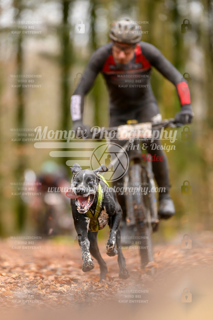 MompixPhotography_Habay2024_SA_Bike-33 | PayLife