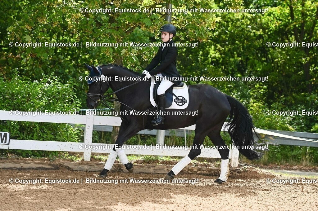20230716_10-1_Reiter-WB Schritt - Trab - Galopp_0144 | equistock