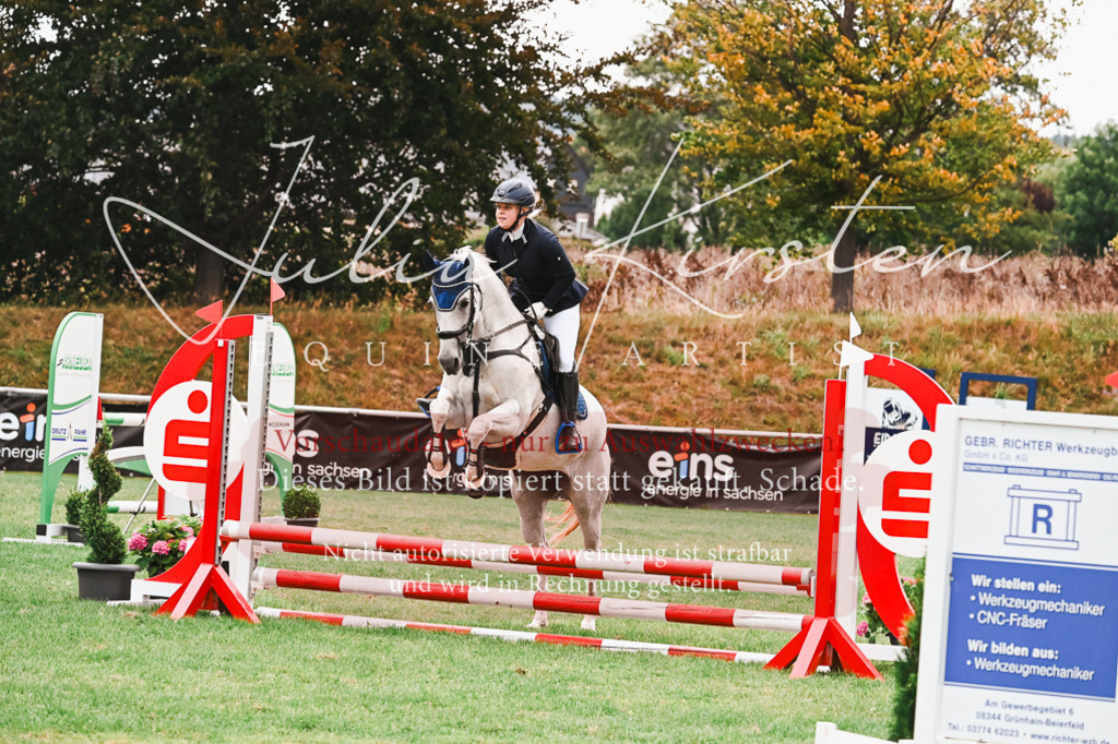 DSC_6014 | Pferde- und Turnierfotografie in Westsachsen. Pferdeportraits, Auftragszeichnungen und intuitive Kunst.