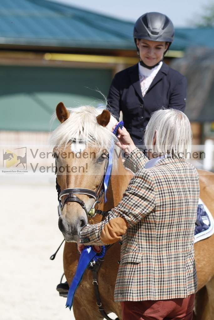 _MG_3611 | equestrian-live-com