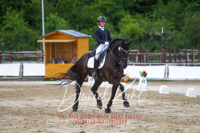 DKP48099 | Turniersportfotografie; Pferdefotografie; Dressurfotografie