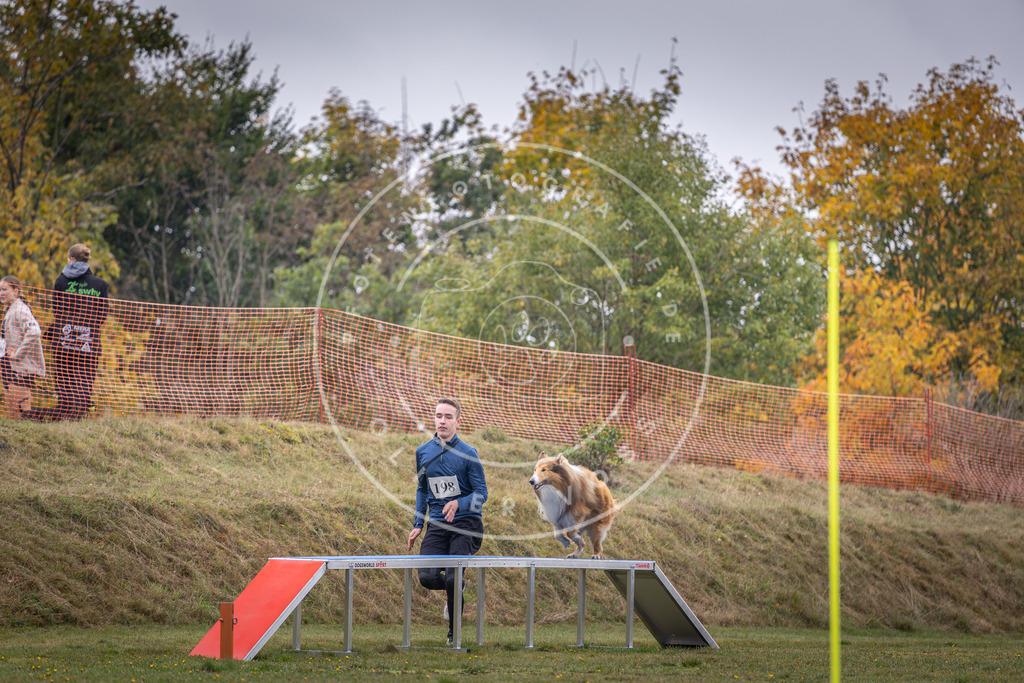 Pfotenfotografie_DV3A1464 | Hundefotografie, Tierfotograf, Pfotenfotografie, Fotoshooting Hund, Hunde Portrait, Hundesport, Hundeportraits, Heideshooting, Hunde, Sportfotograf, Hundefotograf, Turnierhundsport, THS,  - Realisiert mit Pictrs.com