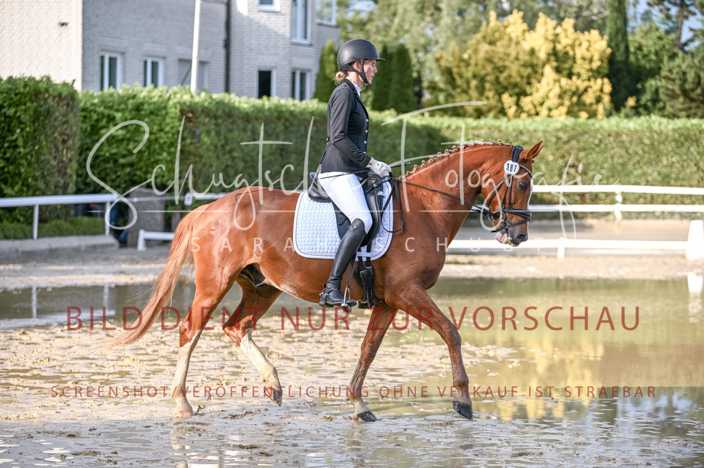 Schugtsche-Aluta25-54.Dressurprf.L1Trense-278 | Schugtsche Fotografie - Realisiert mit Pictrs.com