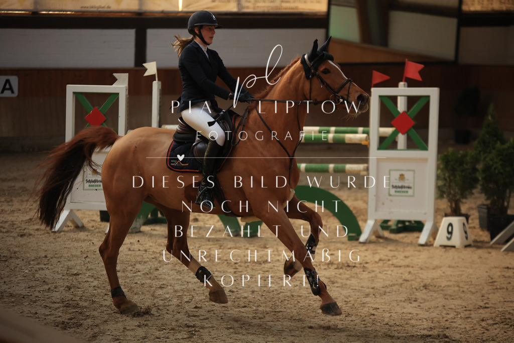 IMGT0971 | pl-fotografie