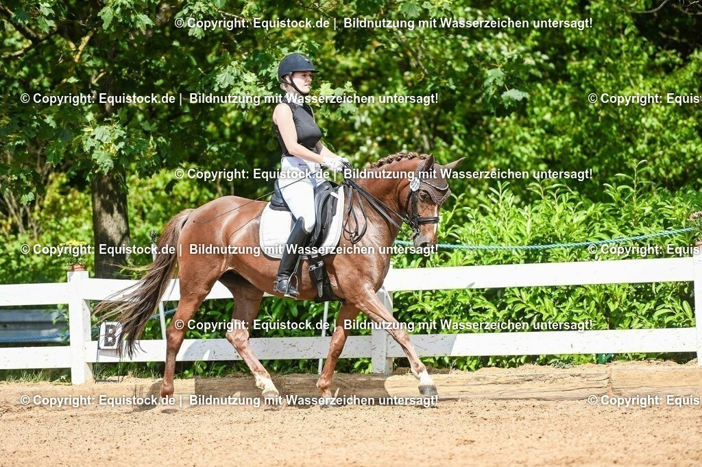 20230716_01_Dressurprüfung Kl.M_0322 | equistock