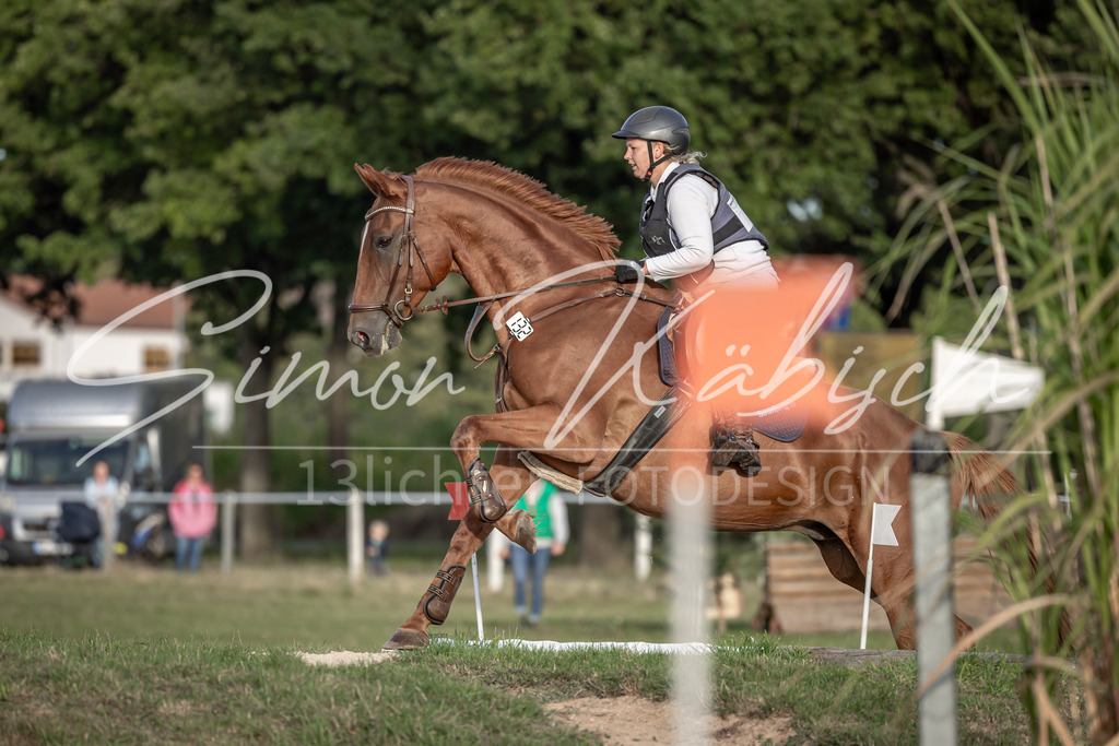 20250907-_3LI8351 | Tierfotografie Pferde, Hunde, Katzen, Haustiere.
Turnierfotografie Reitturniere, Reiten, Springreiten, Dressur in Hanau, dem Main-Kinzig-Kreis und dem Rhein-Main- Gebiet um Frankfurt