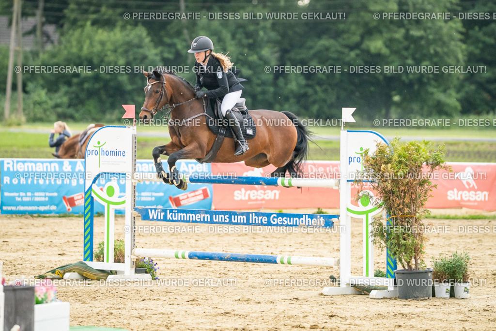 DSC07167 | Pferdegrafie