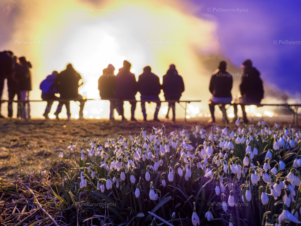 _2210270 | Pellwormer Bilder und Fotos als Poster, auf Leinwand mit Keilrahmen, hinter Acrylglas, auf Alu-Dibond oder Forex-Platte und vieles mehr. Zum verschenken, für die Ferienwohnung oder für zu Hause. - Realisiert mit Pictrs.com