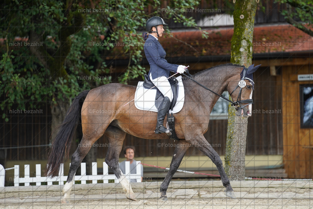 20230826-FAH05210 | Forstinning, 2023, Dressurturnier, Turniersportbilder, Turnierfotografen Bayern, Fotoagentur Herrmann, Reitsportfotografie, Turnierbilder
