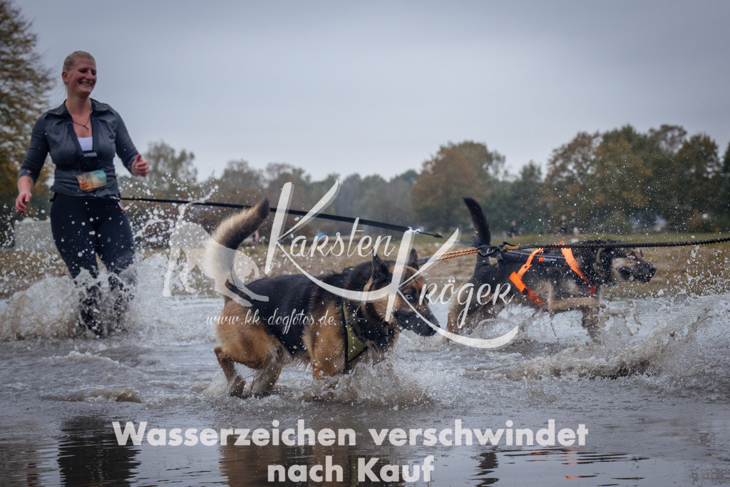 1217_ZZ99063 | kk-dogfotos