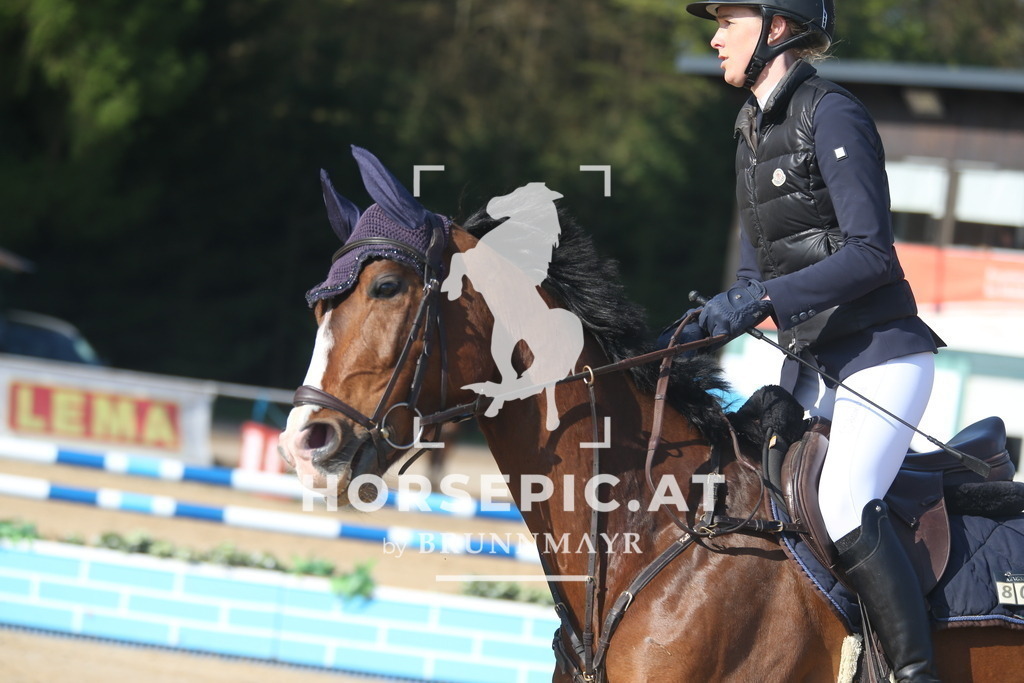 AS8V5623 | Willkommen bei Brunnmayr - Design & Fotografie – Ihrem Spezialisten für Reitturniere und Pferdeveranstaltungen in Oberösterreich, Salzburg und Bayern! Seit über 17 Jahren sind wir leidenschaftlich dabei.