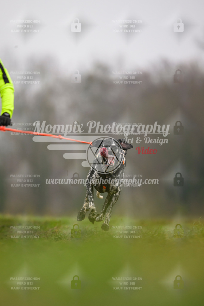 MompixPhotography_CDF2023_FFST_Di_Bike1-64 | PayLife
