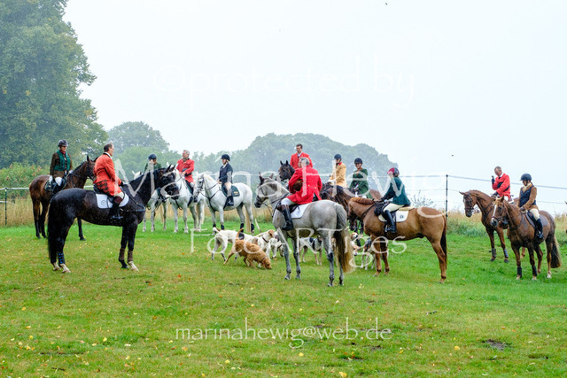 Jagd Kletkamp 26-9511_MarinaHewig | Fotografie, FotoArt, PferdesportArt, Pferdesportfotografie, Landschaftsfotografie, Reisefotografie, Reise, Pferde - Realisiert mit Pictrs.com