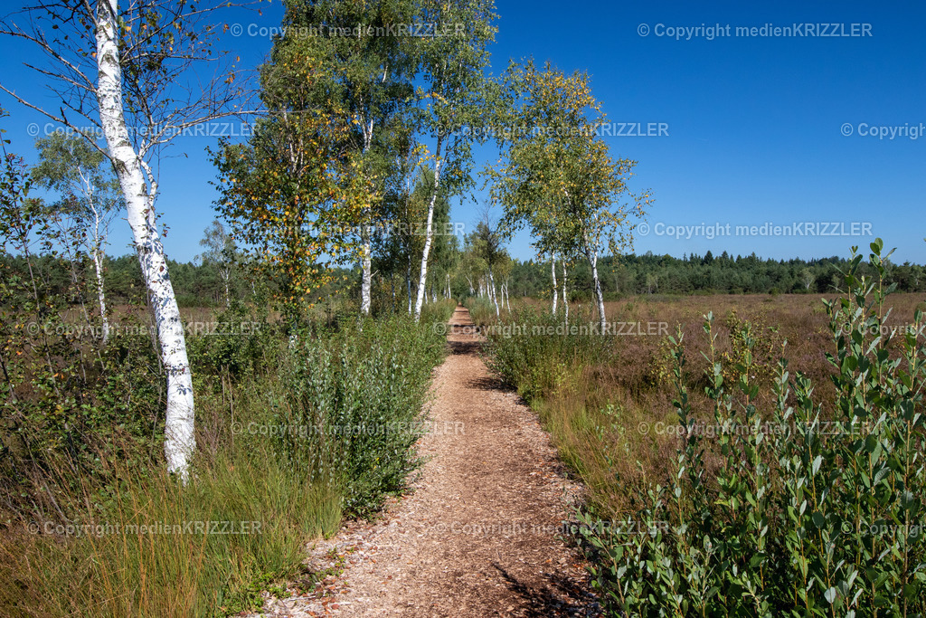 Schönramer Filz | medienkrizzler - Realisiert mit Pictrs.com