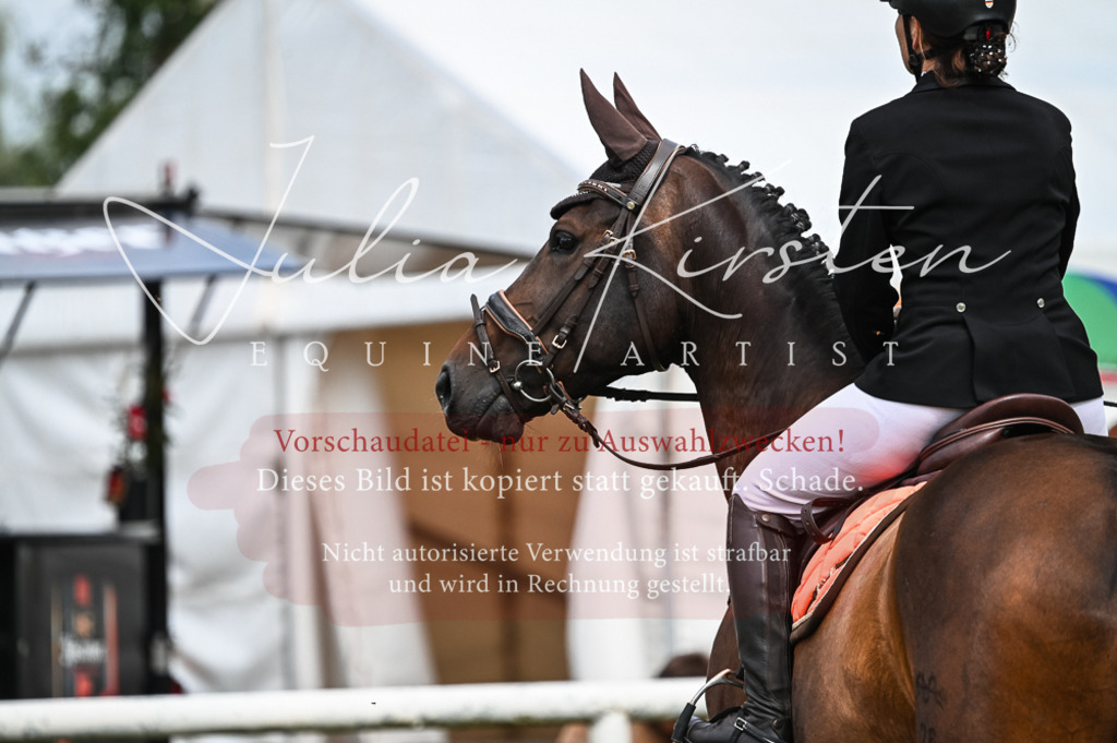 DSC_8271 | Pferde- und Turnierfotografie in Westsachsen. Pferdeportraits, Auftragszeichnungen und intuitive Kunst.