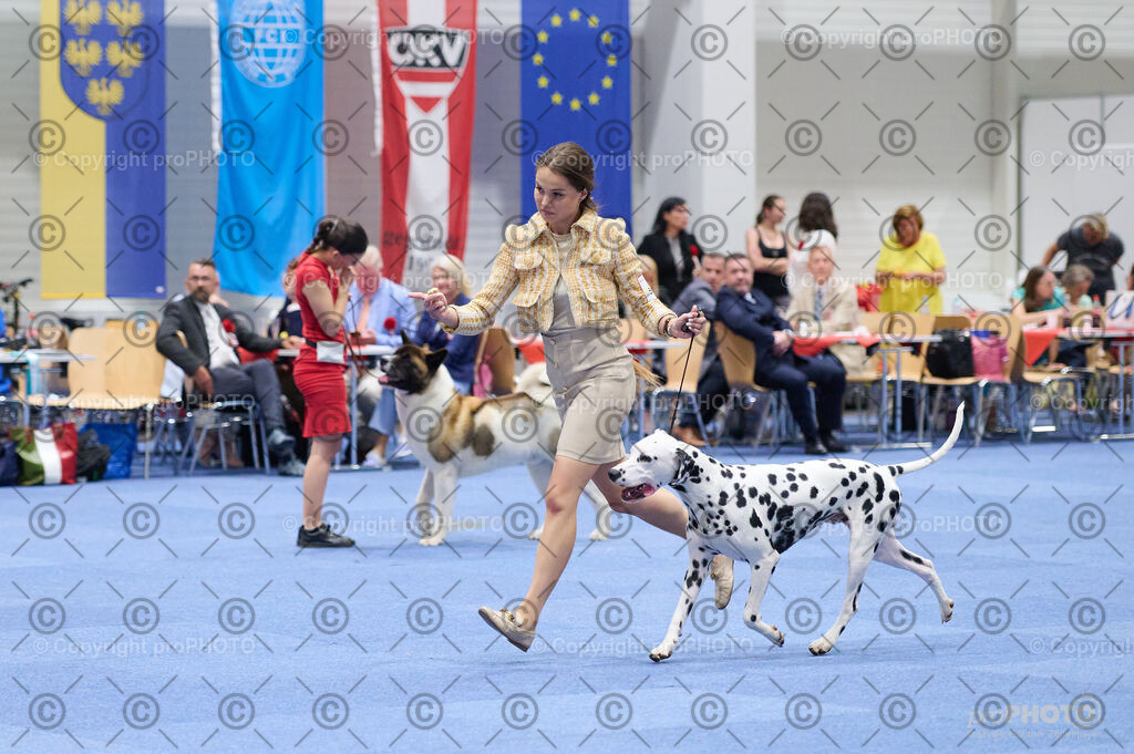 202406_ÖKV-IHA-Tulln24_DSC_3338 | proPHOTO - Realisiert mit Pictrs.com