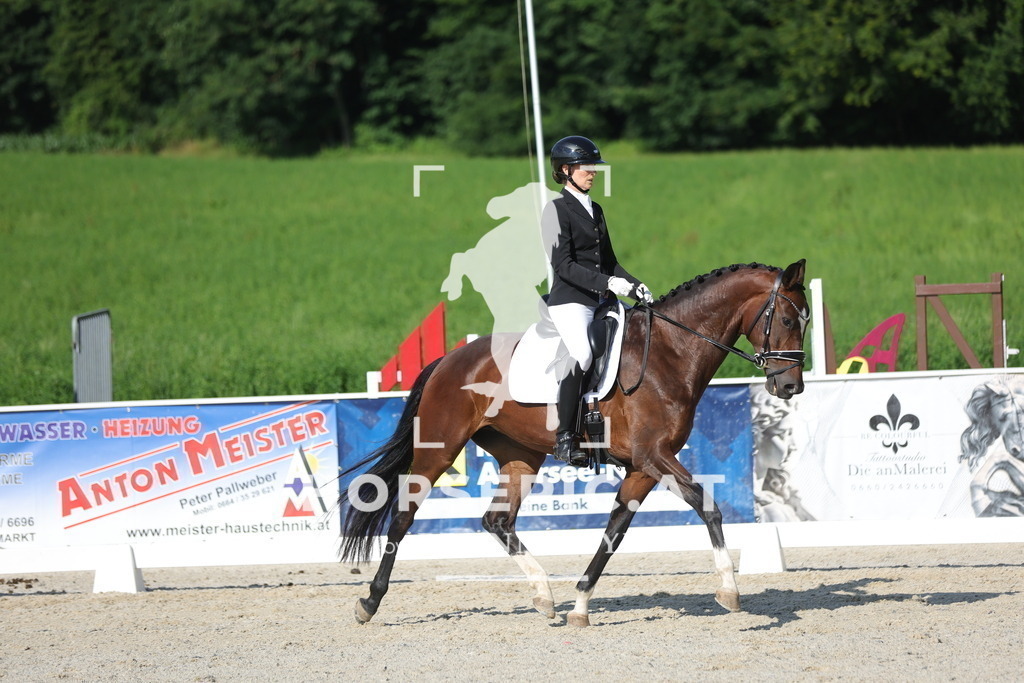 0P6A4590 | Willkommen bei Brunnmayr - Design & Fotografie – Ihrem Spezialisten für Reitturniere und Pferdeveranstaltungen in Oberösterreich, Salzburg und Bayern! Seit über 17 Jahren sind wir leidenschaftlich dabei.