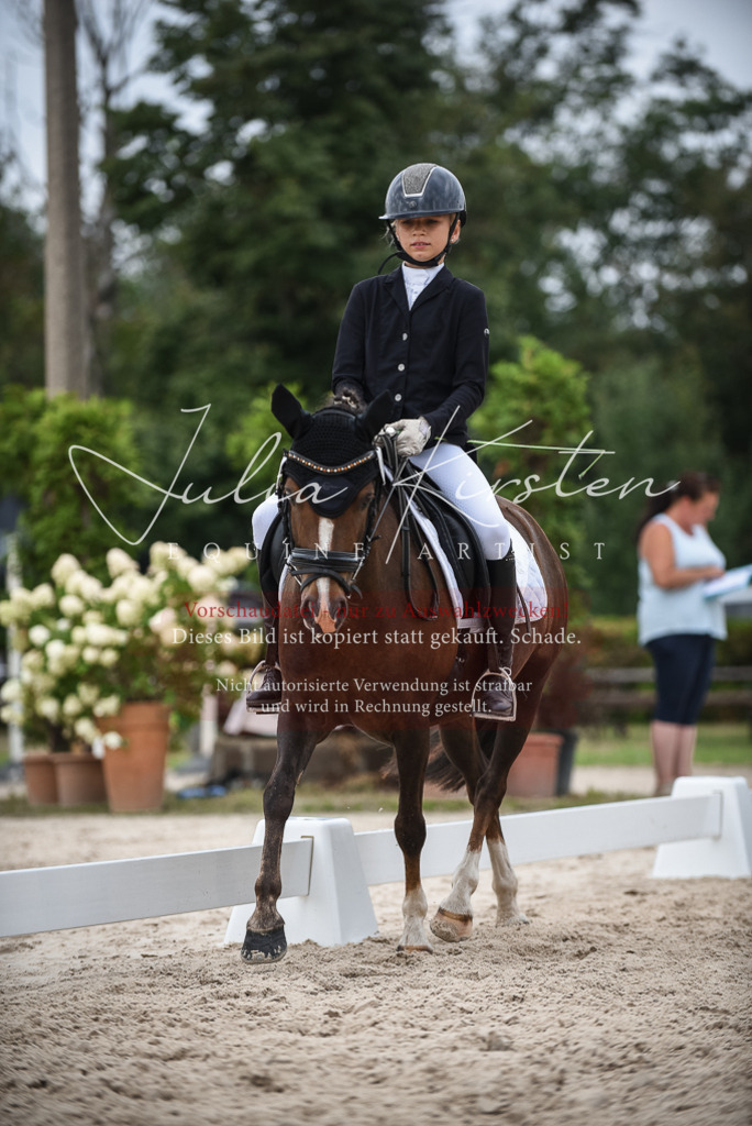 DSC_8162 | Pferde- und Turnierfotografie in Westsachsen. Pferdeportraits, Auftragszeichnungen und intuitive Kunst.