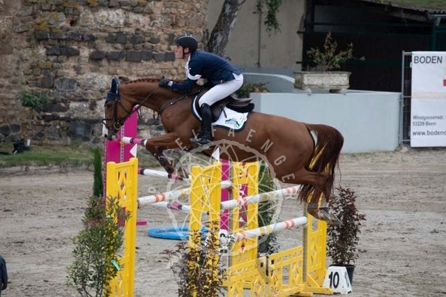 2B4A2640 | pixelfaenger - Realisiert mit Pictrs.com