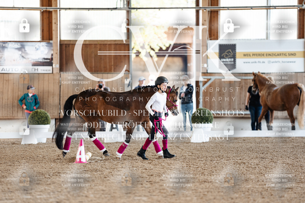 CK905538 | Turnierfotografie Pferdefotografie Trier Rheinland-Pfalz Pferdesport Reitsport Tierfotografie Sportfotografie Pferdevideo Pferdevideografie Equestrianvideography equestrianphotography  - Realisiert mit Pictrs.com