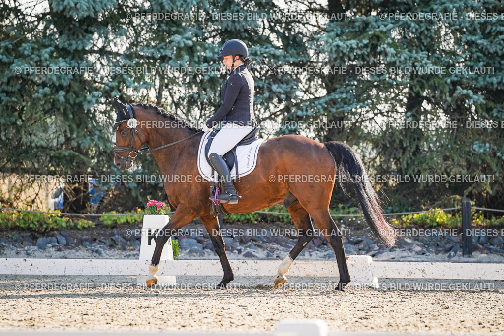 DSC09064 | Pferdegrafie