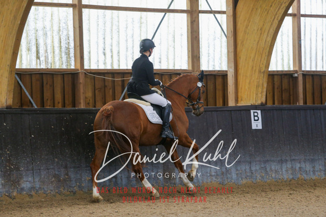 IMG_0213 | Turniersportfotografie; Pferdefotografie; Dressurfotografie