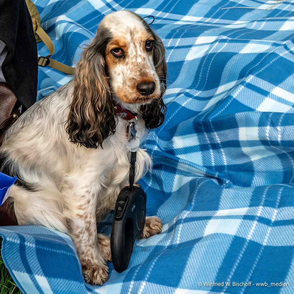 _DSC1501-2 | <Fotografie> <Video> <Film> <Winfried Bischoff> - Realisiert mit Pictrs.com