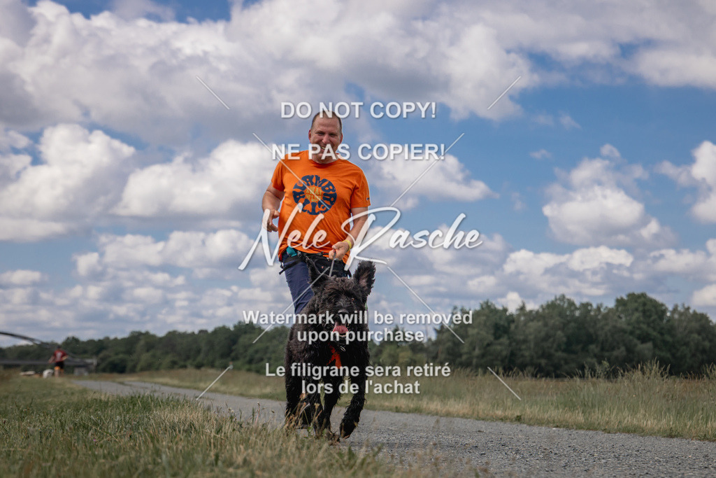 nelerasche_BuHu2026_SaCC1100-1200_48 | nelerasche