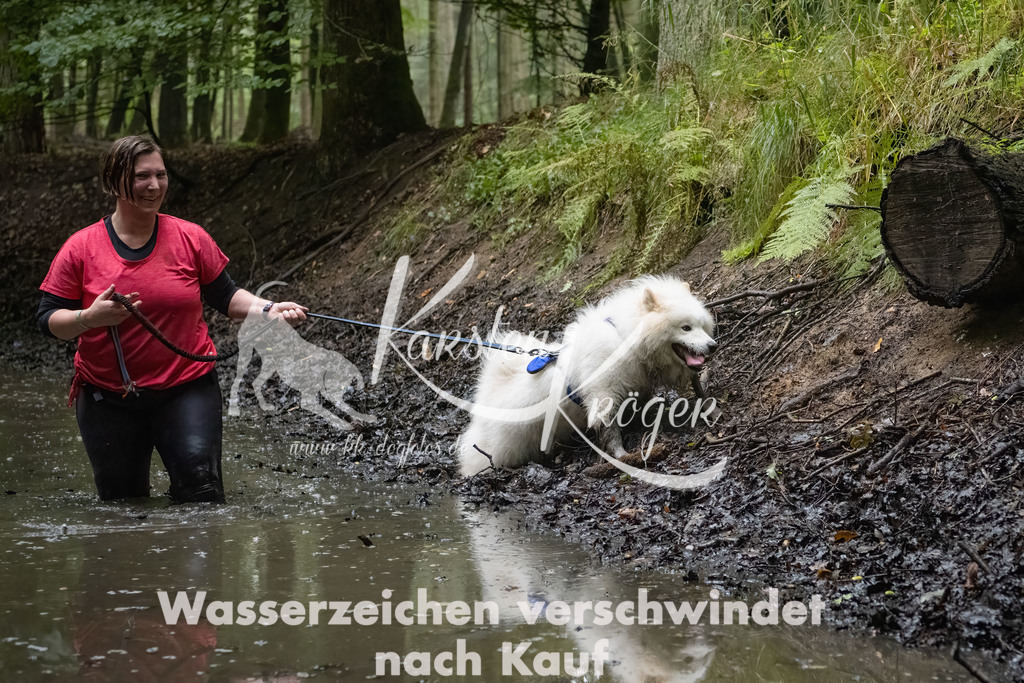 0937_ZZ90890-Bearbeitet | kk-dogfotos