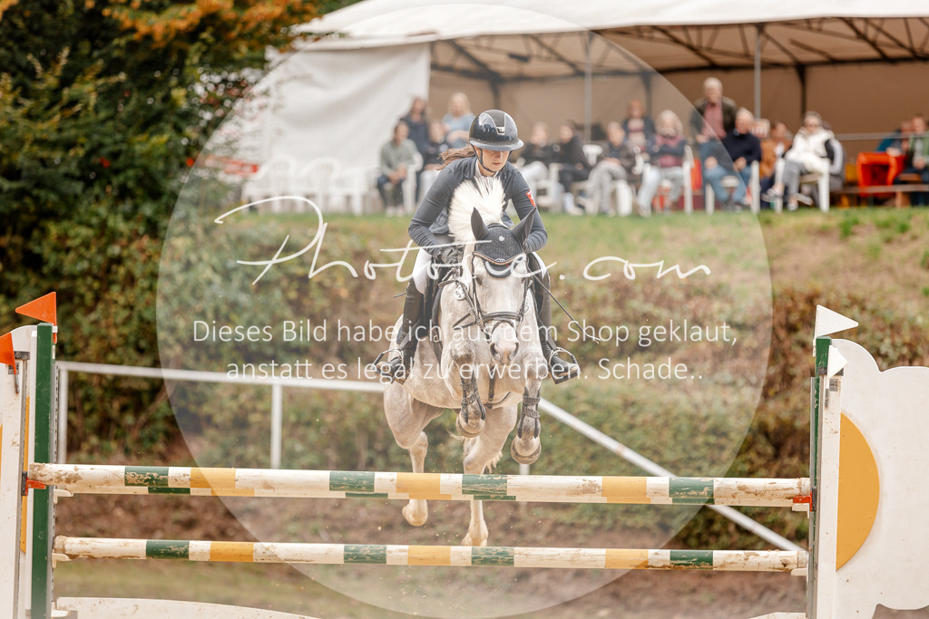 3I6A8192 | Stimmungsvolle Portraits und Reitsportfotografie im Ruhrgebiet und im Münsterland.

Pferdefotografie, Hundefotografie, Tierfotografie, Reportagen, Portraits von Tier und Mensch, Turnierfotografie in Bochum, Recklinghausen, Marl, Haltern am See, Dülmen.. - Realisiert mit Pictrs.com