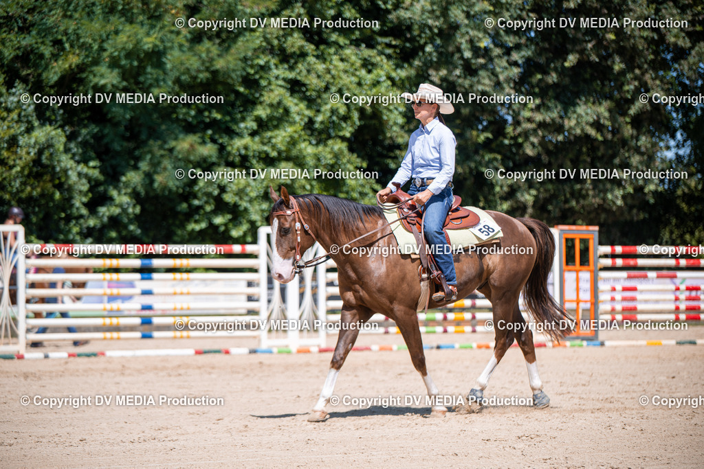 ZS1_1197 | dv-media-shop - Realisiert mit Pictrs.com