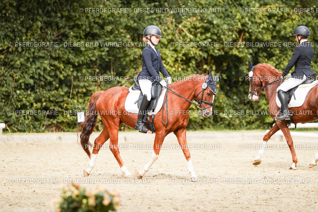 DSC03722 | Pferdegrafie