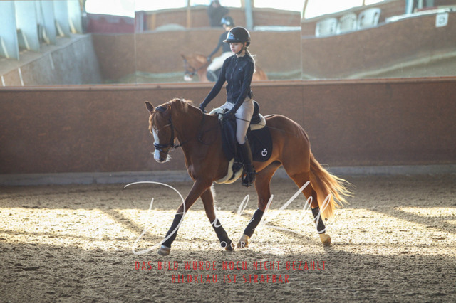 DKP42152 | Turniersportfotografie; Pferdefotografie; Dressurfotografie