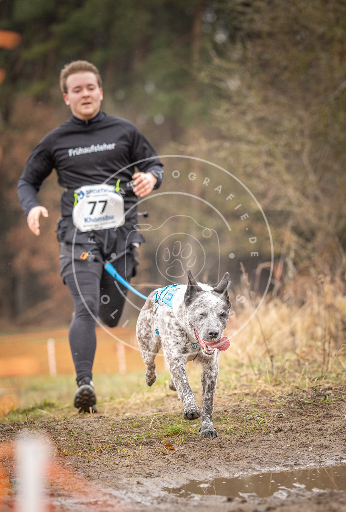 DV3A0281 | Hundefotografie, Tierfotograf, Pfotenfotografie, Fotoshooting Hund, Hunde Portrait, Hundesport, Hundeportraits, Heideshooting, Hunde, Sportfotograf, Hundefotograf, Turnierhundsport, THS,  - Realisiert mit Pictrs.com