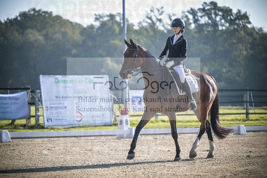 DOS_0176 | Entdecke hochwertige Reitturnierfotos von Foto Oger. Professionell, emotional und authentisch – jetzt Lieblingsmomente im Shop bestellen.Deutschlandweite Turnierfotografie. - Realisiert mit Pictrs.com