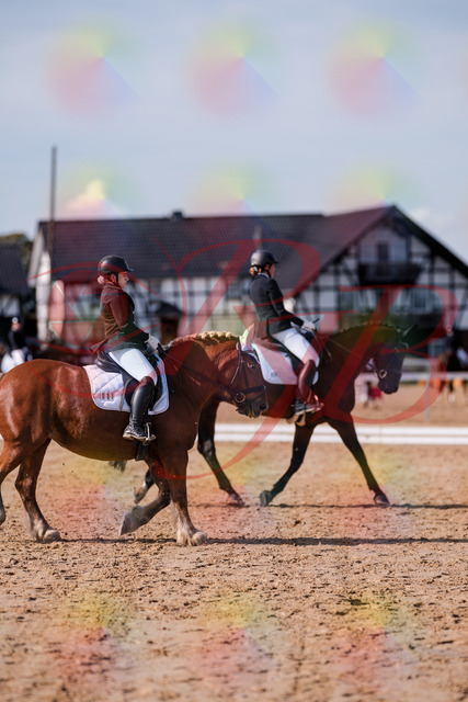 2026_10_03_Siefer-Hof_130139_Z81_53707511 | Professionelle Reitsport-, Turnier- und Eventfotografie von Robert Broda. Galerien mit ausgewählten und bearbeiteten Bildern direkt online ansehen und bestellen.