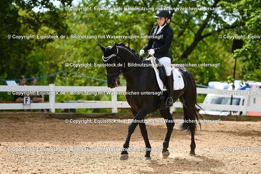 20230715_07_Dressurpferdeprfg. Kl.L_0134 | equistock