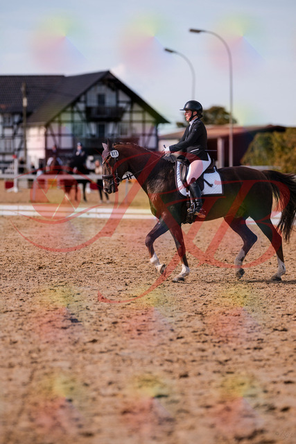 2026_10_03_Siefer-Hof_132607_Z81_79000041 | Professionelle Reitsport-, Turnier- und Eventfotografie von Robert Broda. Galerien mit ausgewählten und bearbeiteten Bildern direkt online ansehen und bestellen.