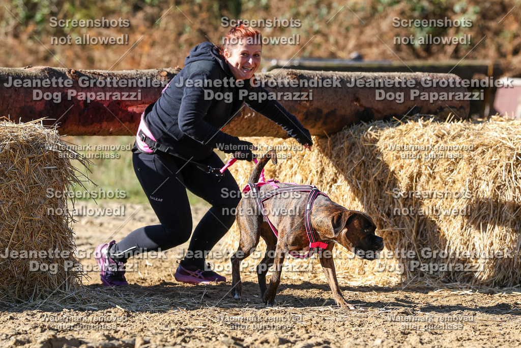 Dog Paparazzi - Strongdog 10-25-2758 | Dog Paparazzi Jeanette Grottendiek Fotografie & Videografie - Realisiert mit Pictrs.com