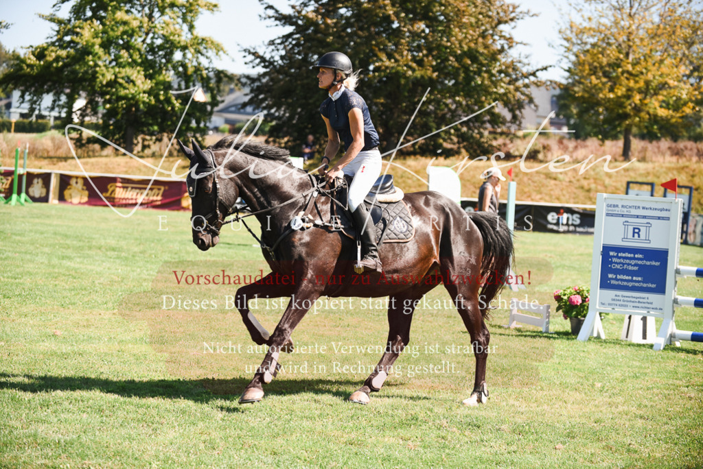 DSC_2774 | Pferde- und Turnierfotografie in Westsachsen. Pferdeportraits, Auftragszeichnungen und intuitive Kunst.