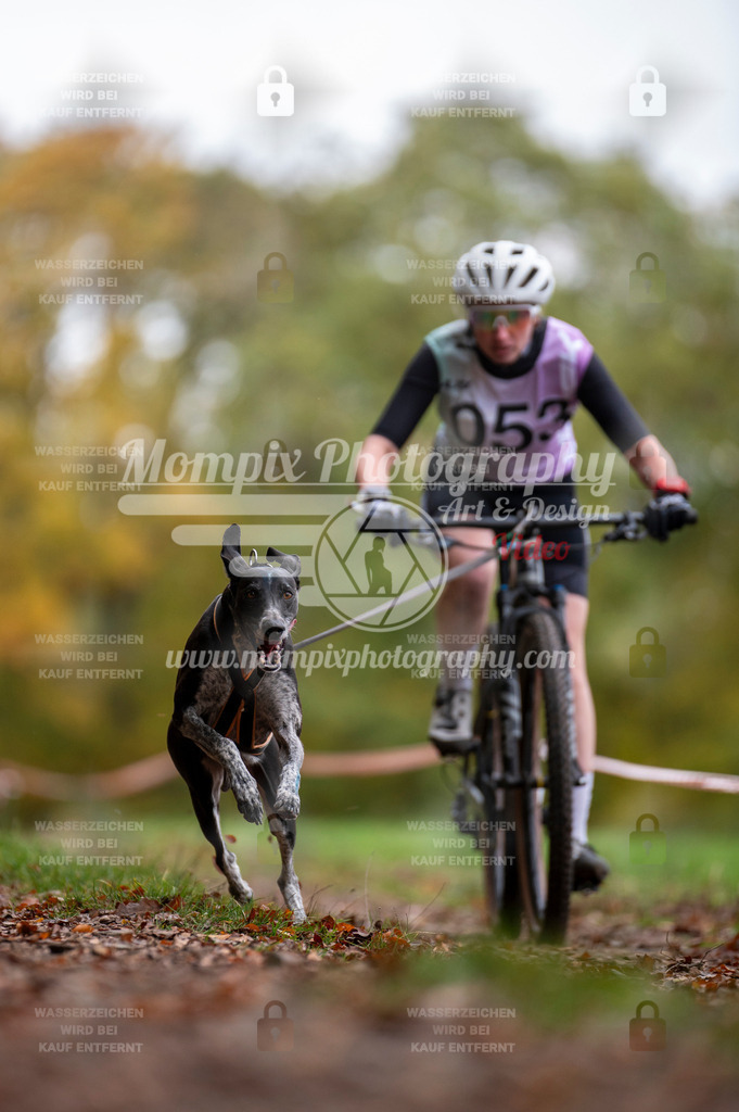 DBT_DAKM_SA_4_11_2023_Bike-24 | PayLife