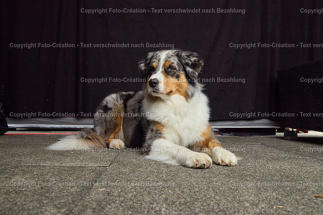 30.08.25 HSW Luzern Samstag0788 | foto-création - Realisiert mit Pictrs.com