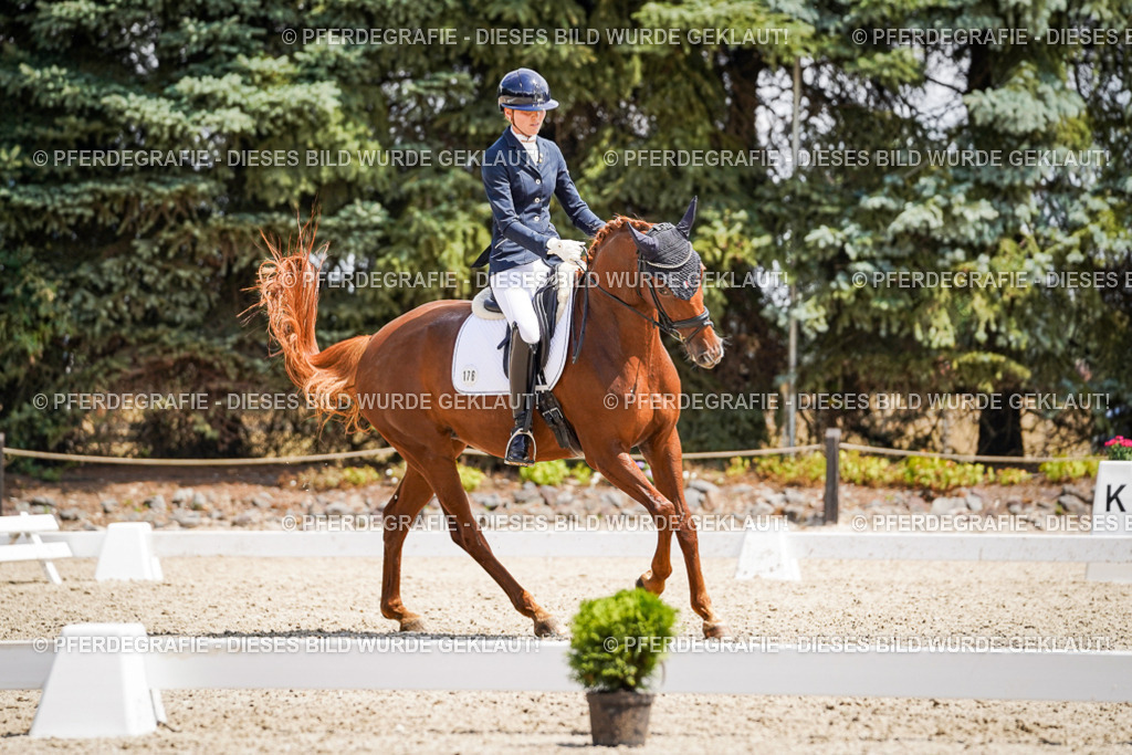 DSC01045 | Pferdegrafie