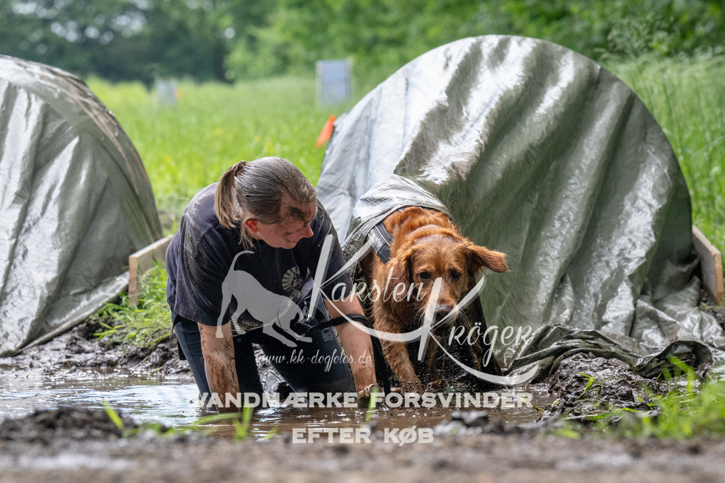 1116_ZZ92322 | kk-dogfotos
