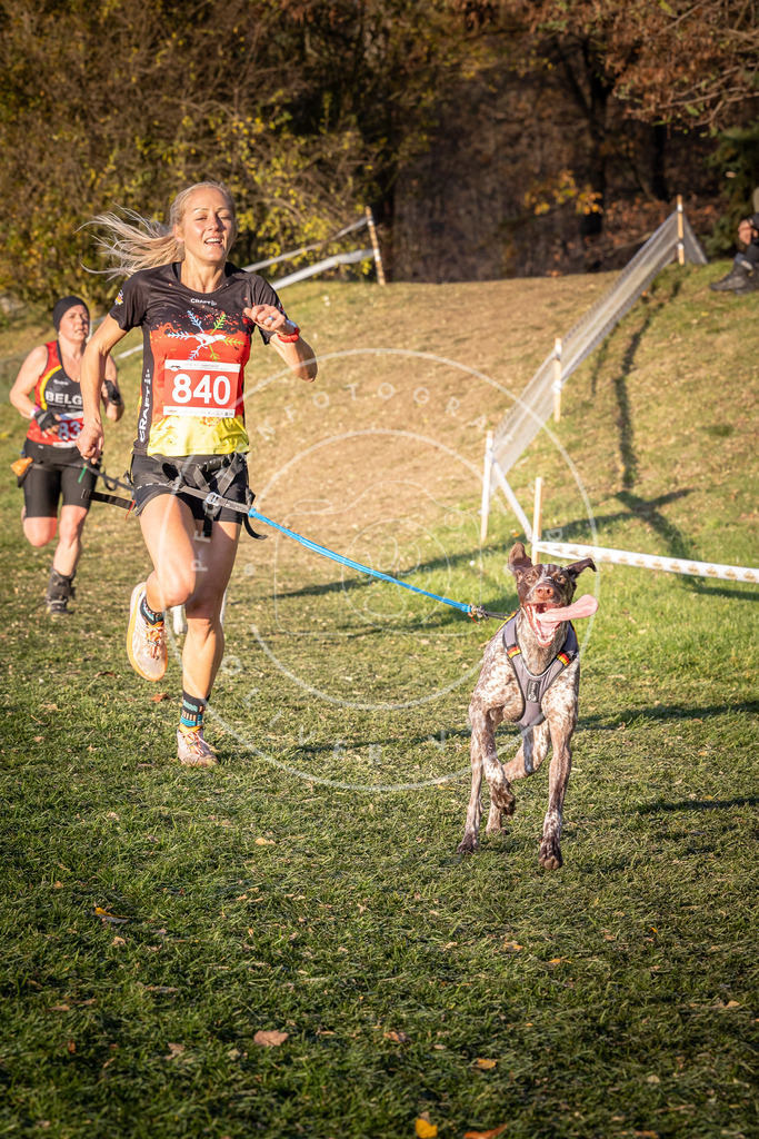 CaniXpix_0L8A0718 | Hundefotografie, Tierfotograf, Pfotenfotografie, Fotoshooting Hund, Hunde Portrait, Hundesport, Hundeportraits, Heideshooting, Hunde, Sportfotograf, Hundefotograf, Turnierhundsport, THS,  - Realisiert mit Pictrs.com