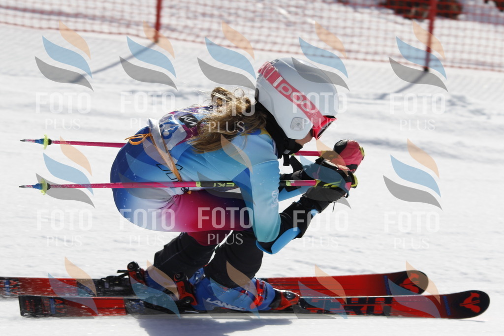 _U3G9893 | holidayphoto